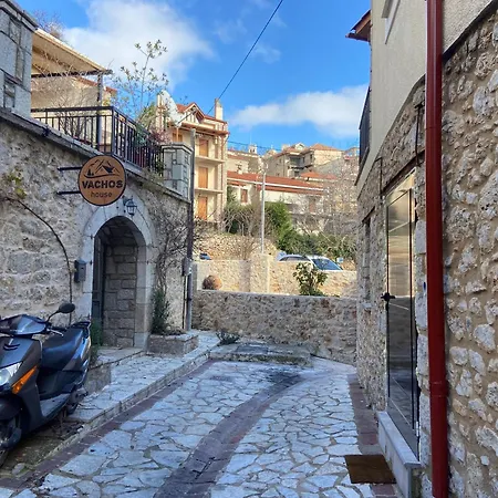 Vachos 1 Holiday home Arachova